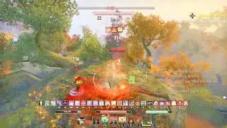 Crit dk. Imagine dying with a healer in a 1v1. Eso pvp