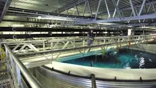 LINDE Aquaculture Kompetenzfilm produced by Fiction Films GmbH  / &copy; FictionFilmsGmbH