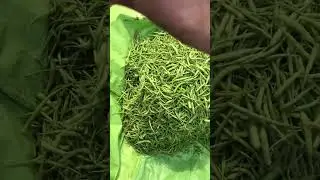 daily Pakistan Routine Prices Todays vegetables #youtube