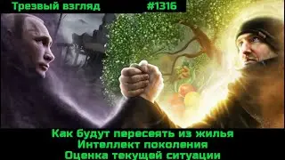 Как нас лишат собственности.  Дискурс об интеллекте поколений  Замерзающая Россия
