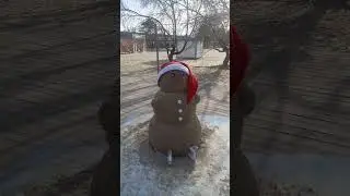Когда снега нет а есть песок и сахар.#joy #nature #prank #merry
