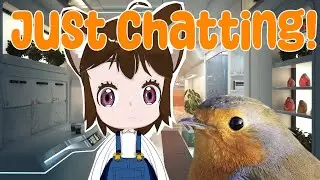 Making a cat tier list!