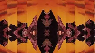 Long Range Hustle - Dead Plants (Official Video)