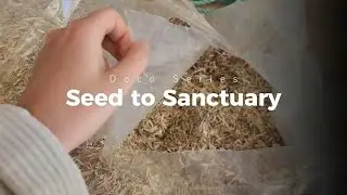 Kohu Hemp | Episode 2 |  Seed to Sanctuary | Hemp Mixing