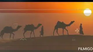Tripguru Tour travel planner