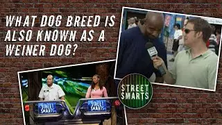 What Dog Breed Is Also Known as a Weiner Dog? | Street Smarts | Full Episode