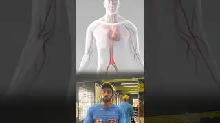 What happened inside🙄Gym కి వెళ్ళే వాళ్ళు🥵#gym#science#truth#explained#ytshorts #fitness