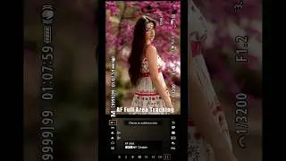 Canon EOS R6 Mark ii Auto Focus Settings & Custom Color Profile for Portraits