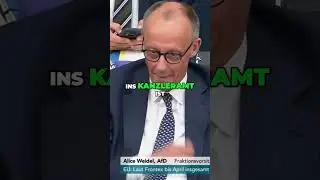 Merz: Kanzler der Linken? Gebrochene Wahlversprechen!