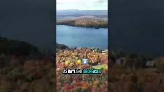 Today Is The Autumnal Equinox, A Unique Event When The Day And Night Are Nearly Equal Worldwide
