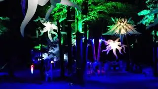 Aqua Stage at night - Backwoods Music Festival 2019