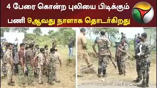 4 பேரை கொன்ற புலியை பிடிக்கும் பணி 9ஆவது நாளாக தொடர்கிறது | Tiger | Nilgiri