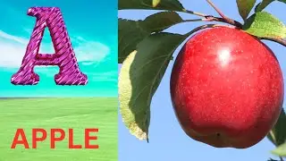 ABC Phonics Song | Alphabet letter sounds | ABC learning for toddlers | Education ABC Nursery Rhymes