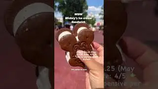 Disney World Mickey Ice cream Sandwich Review. Is it worth it? #wdw