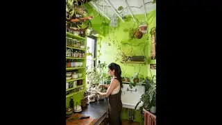 kitchen decorate with plants/ home decoration tips , how to decorate kitchen with plants