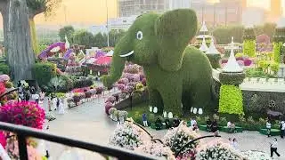 دوبۍ کې د معجزې بڼ/ رنګارنګ ګلان&hellip;