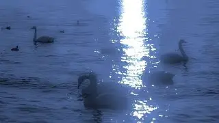 reconciliation! ྀ࿐ˊˎ-&nbsp;&nbsp;☕ /[attract past people] subliminal