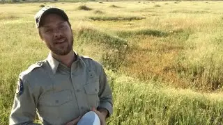 A Window into the Wonderful World of Vernal Pools