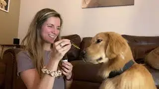 Natures Pure Pet Tincture