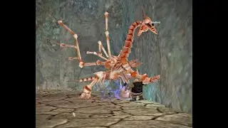 Shaman Solos Dragon Construct, Dragon Necropolis, Project 1999 EverQuest 1/13/23