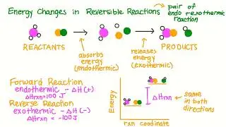 Reversible and Irreversible Reactions