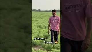 My company 🔥my business 🌾 #video #farming #shortvideo #tochanking #farmer