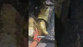 Какими были первые переселенцы в Америку, экскурсия на Статую Свободы в Нью-Йорке, иммигранты в США