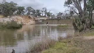 The Incredible Bulk - Laanecoorie Weir - Loddon River