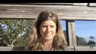 Tuesdays w/Tara - Expand Your Online Reach
