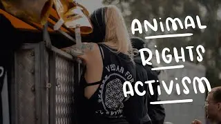 How to Get Involved in Animal Rights Activism