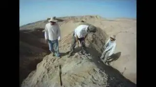 Time lapse: Fossil turtle shell excavated by three turtle researchers