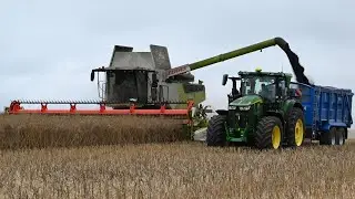 Harvest 2024 - Combining OSR with Claas Lexion 7500 and John Deeres Carting