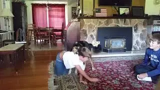 20170827 092539