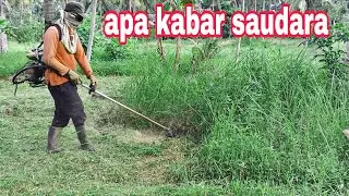 LONG TIME NO UP LAWN MACHINE VIDEO