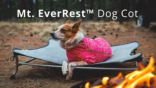 Mt  EverRest&trade; Dog Cot