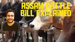 Assam cattle Bill explained