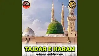 Tajdar E Haram