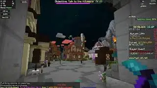 Buying a True warden skin 1b+ Hypixel skyblock