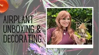 Monthly Air Plant Subscription UNBOXING & DECORATING them w/ Shells in my Beach House #Unboxing