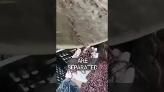A WORM harvesting machine created in china