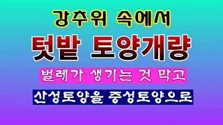 [텃밭농부 2,135]  강추위 속에서 토양개량작업. 해충은 줄이고 토양은 중성토양으로! #토양개량 #석회비료