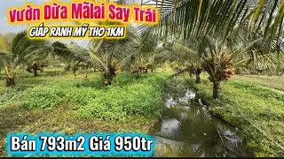Tập 3596 Bán Vườn Dừa Mãlai 800m2 Giá 950tr sát bên QL1A - giáp ranh Tp Mỹ Tho 