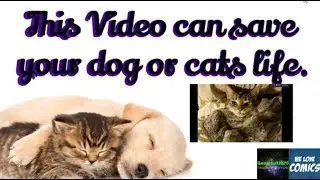 This video may save your dog or cats life. Shared from my other channel. Please share.