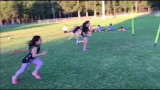 MINIS PROMO
