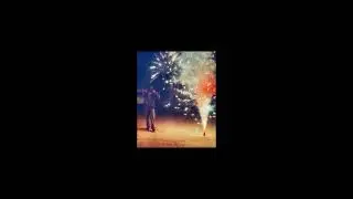 Fireflies