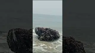 SEA BEACH 🏖️🏖️🏖️#shorts #relexingvideo,relaxing waves,ocean sounds,relaxation,dream destiation,relax