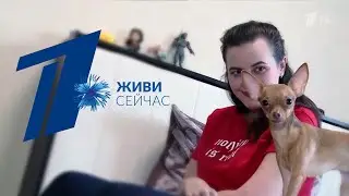 Репортаж о фонде 