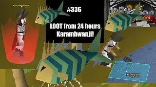 Loot from 24 Hours Karambwanji Fishing