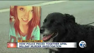 APRIL MILLSAP CASE - ARMADA, MI