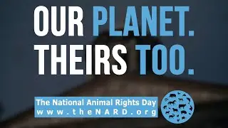 NARD 2021 x M4TM Dam Square Amsterdam (National Animal Rights day)